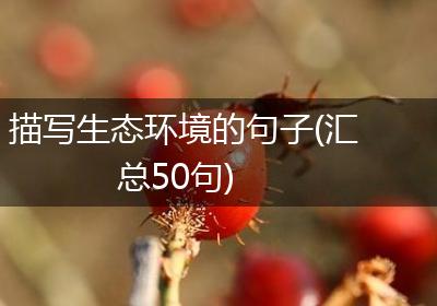 描写生态环境的句子(汇总50句)