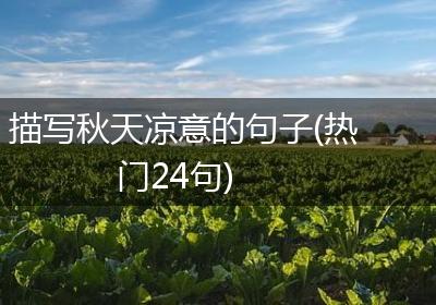 描写秋天凉意的句子(热门24句)