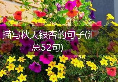 描写秋天银杏的句子(汇总52句)