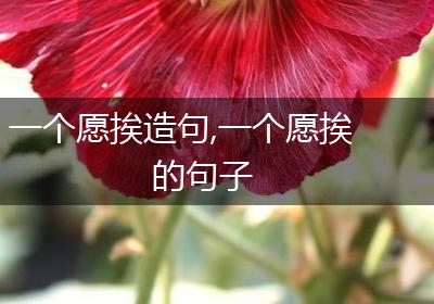 一个愿挨造句,一个愿挨的句子