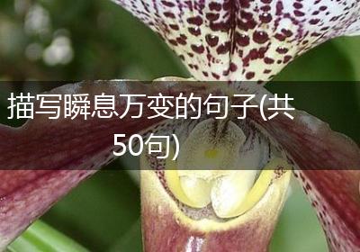 描写瞬息万变的句子(共50句)