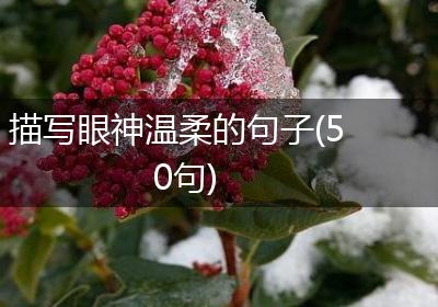 描写眼神温柔的句子(50句)