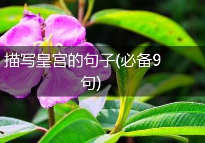 描写皇宫的句子(必备9句)