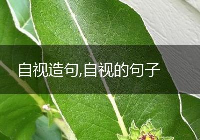 自视造句,自视的句子
