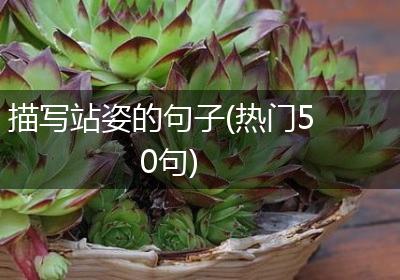 描写站姿的句子(热门50句)