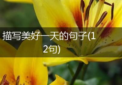 描写美好一天的句子(12句)
