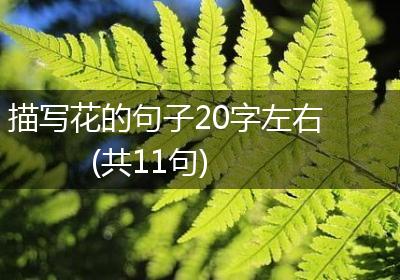 描写花的句子20字左右(共11句)