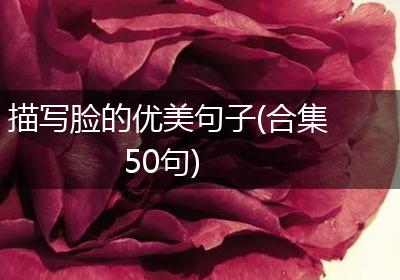 描写脸的优美句子(合集50句)