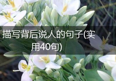描写背后说人的句子(实用40句)