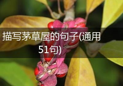 描写茅草屋的句子(通用51句)