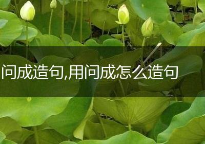 问成造句,用问成怎么造句