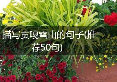 描写贡嘎雪山的句子(推荐50句)
