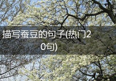 描写蚕豆的句子(热门20句)