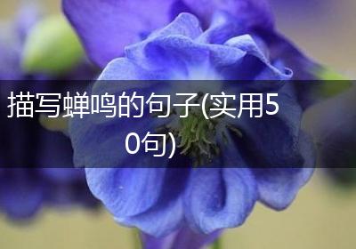 描写蝉鸣的句子(实用50句)