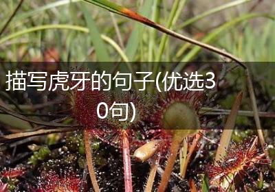 描写虎牙的句子(优选30句)