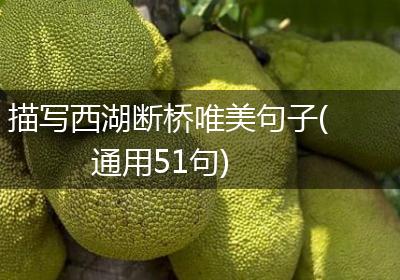 描写西湖断桥唯美句子(通用51句)