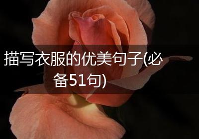 描写衣服的优美句子(必备51句)
