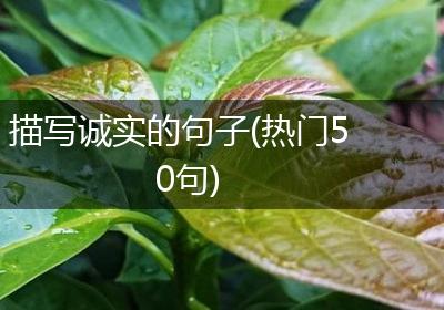 描写诚实的句子(热门50句)
