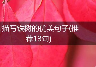 描写铁树的优美句子(推荐13句)