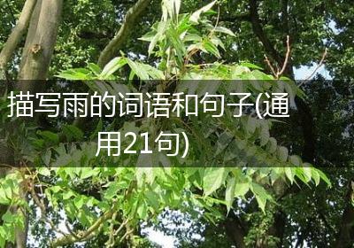 描写雨的词语和句子(通用21句)
