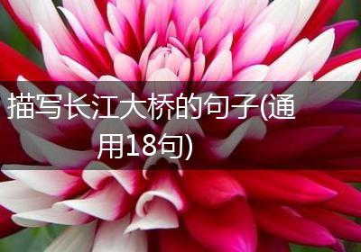 描写长江大桥的句子(通用18句)