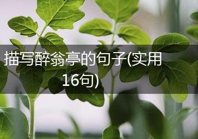 描写醉翁亭的句子(实用16句)