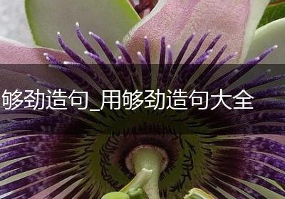 够劲造句_用够劲造句大全