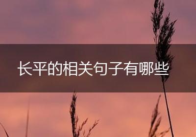 长平的相关句子有哪些