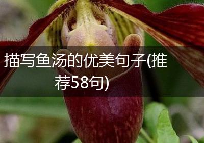 描写鱼汤的优美句子(推荐58句)