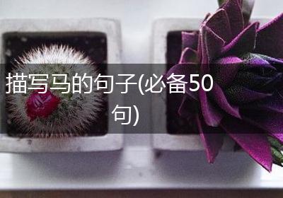 描写马的句子(必备50句)