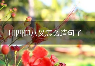 用四仰八叉怎么造句子