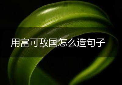 用富可敌国怎么造句子