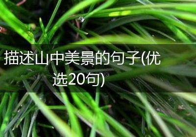 描述山中美景的句子(优选20句)