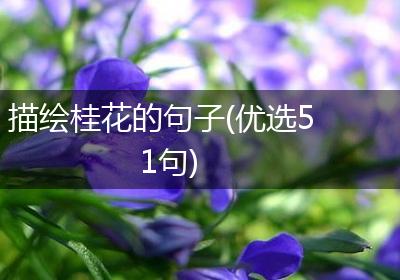 描绘桂花的句子(优选51句)