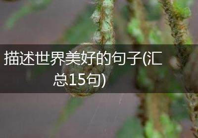 描述世界美好的句子(汇总15句)