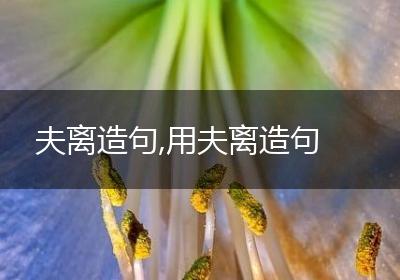 夫离造句,用夫离造句