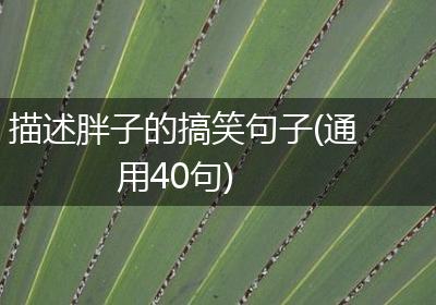 描述胖子的搞笑句子(通用40句)