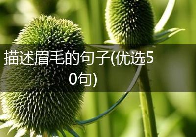 描述眉毛的句子(优选50句)