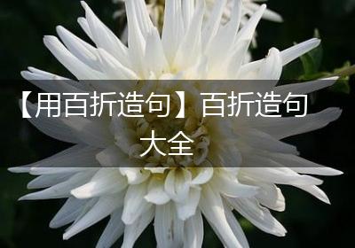 【用百折造句】百折造句大全
