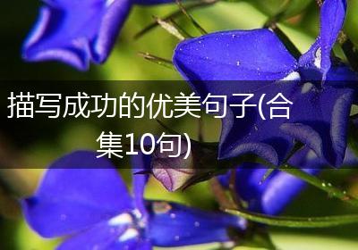 描写成功的优美句子(合集10句)