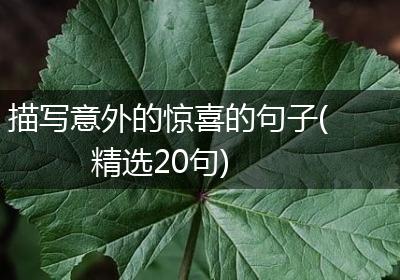 描写意外的惊喜的句子(精选20句)