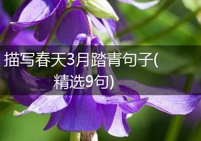 描写春天3月踏青句子(精选9句)