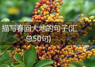 描写春回大地的句子(汇总50句)