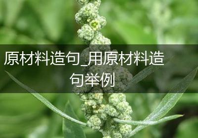 原材料造句_用原材料造句举例