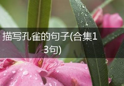 描写孔雀的句子(合集13句)