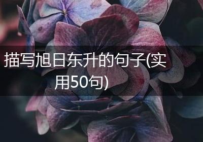 描写旭日东升的句子(实用50句)