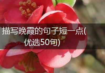描写晚霞的句子短一点(优选50句)