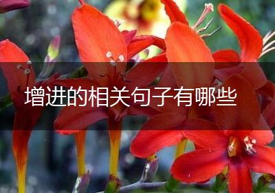 增进的相关句子有哪些