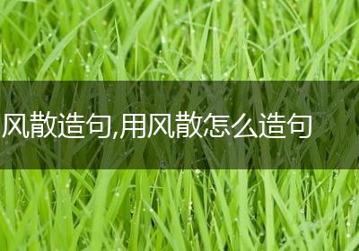 风散造句,用风散怎么造句