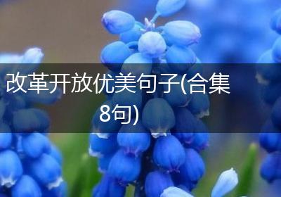 改革开放优美句子(合集8句)